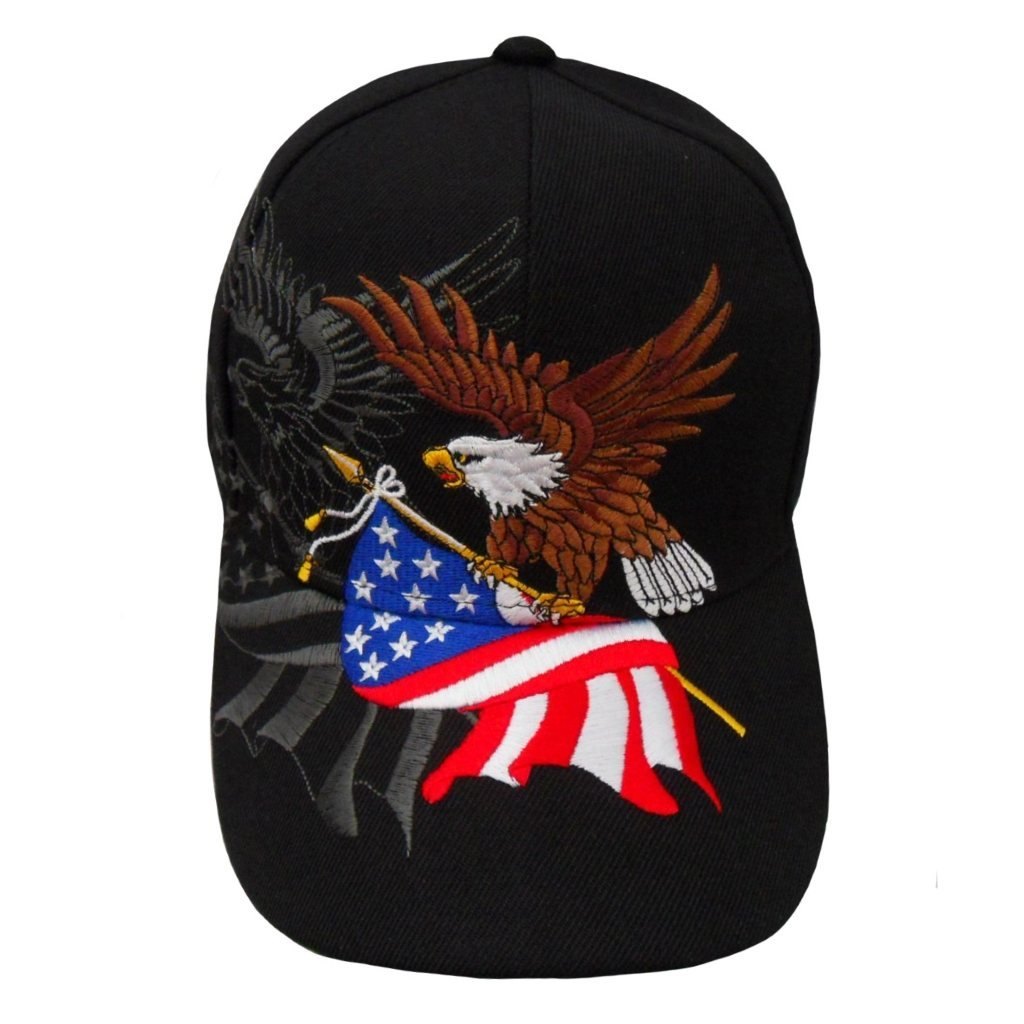 American Flying Eagle Shadow Hat (Black), photo 2