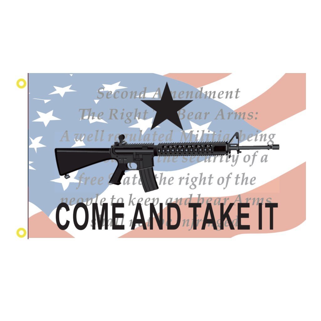 Come and Take It: Right to Keep & Bear Arms Flag, 3 x 5 ft