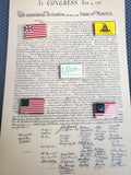 Founding Flags Lapel Pin Set of 5, 250th Anniversary (1776-2026)